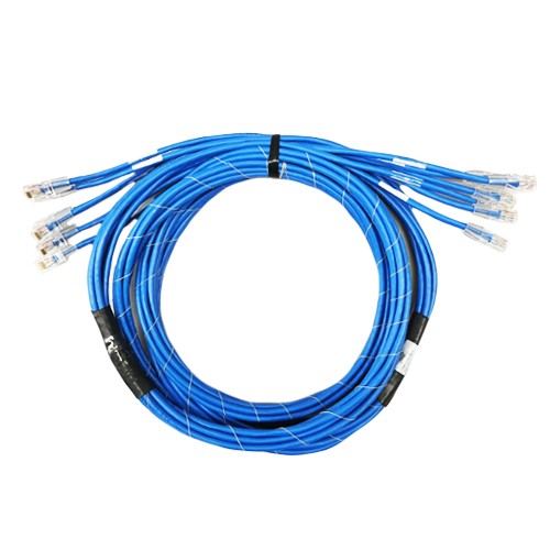 TSOC Smart-Connect CAT6 Trunk Cable - Blue
